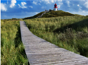 Weg in den Dünen